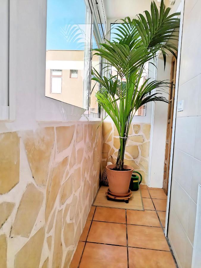 Apartamento Vida Mediterranea Apartment Puerto de la Cruz  Exterior foto